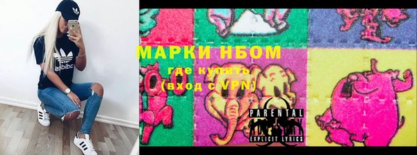 индика Болхов