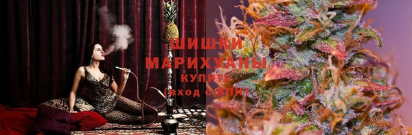 амф Аркадак